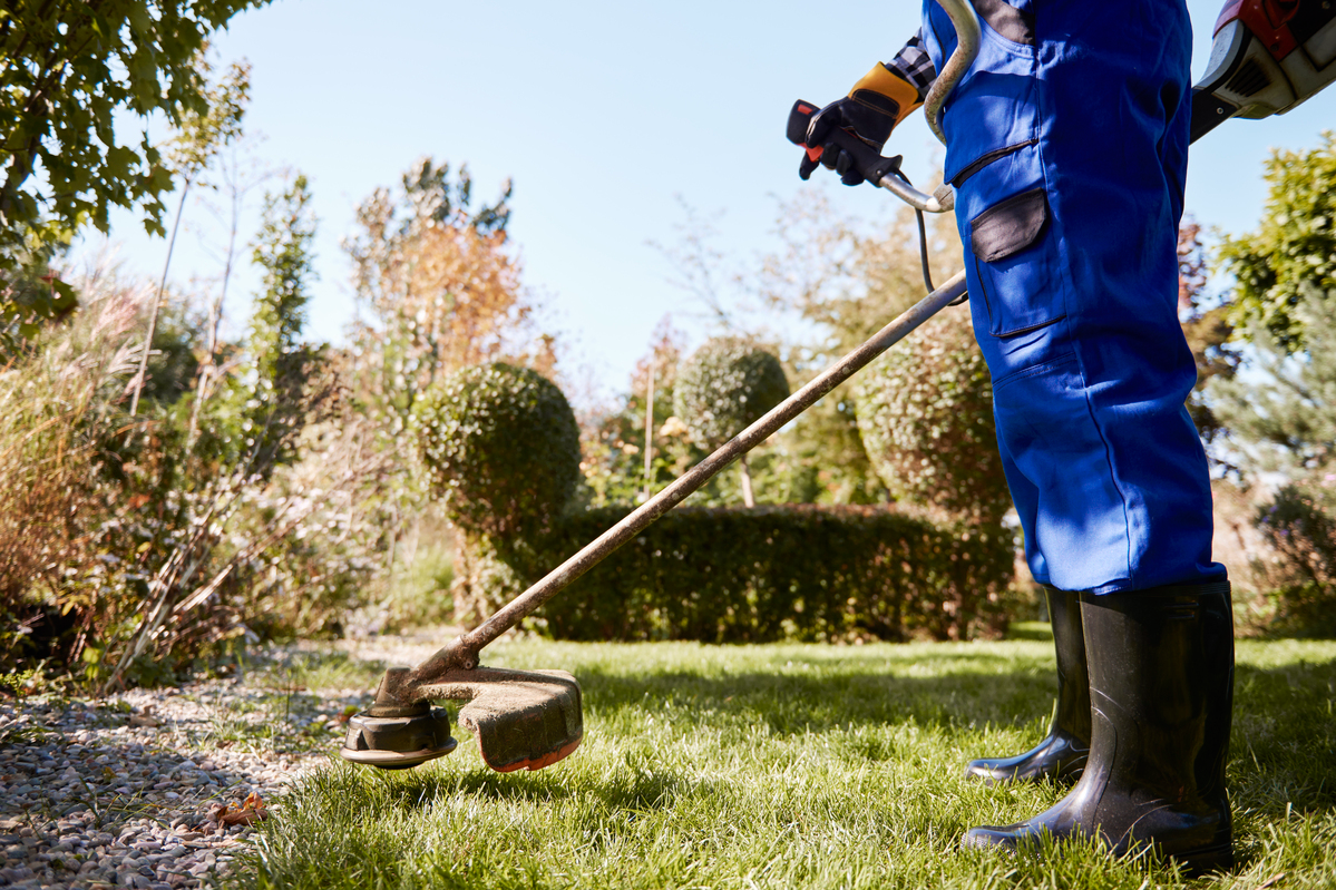 Rekomendasi Mesin potong rumput cordless